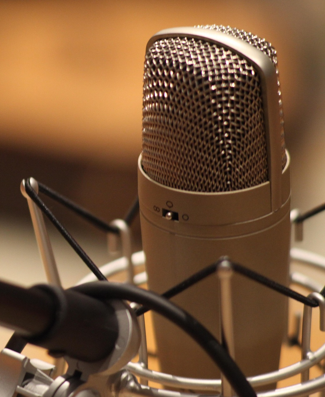 Speaker engaging with audience