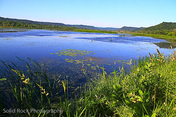 Abundance that restores: Energy flows where authenticity is allowed to multiply.
