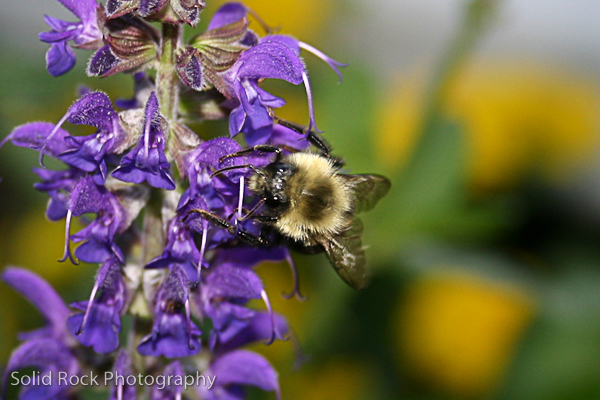 True abundance multiplies life, just as covenant leadership multiplies trust and impact.