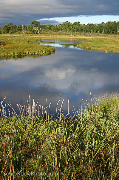 Daily rhythms of reflection and intention nurture authentic leadership.