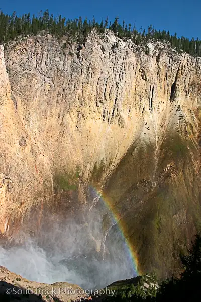 Pause, reflect, and consider your next steps with clarity and calm.